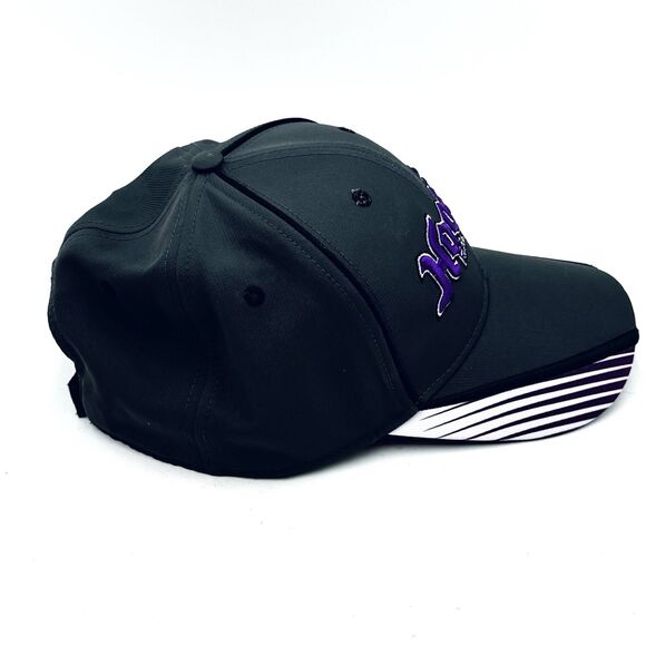 Hoosier Racing Tires Gray & Purple Embroidered Strapback New without tags - Picture 3 of 6